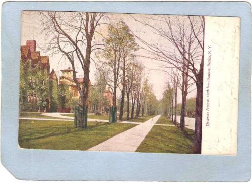 New York Buffalo Delaware Avenue North From Summer ny_box4X1~2787