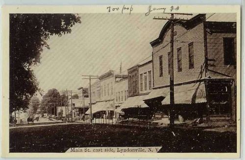 New York Lyndonville Main St East Side Street Scene w/Old Buildings Horses~280