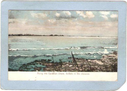 New York Buffalo Along The Canadian Shore Buffalo In The Distance ny_box4X~2832