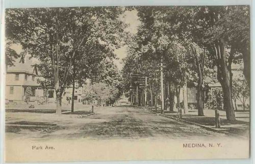 New York Medina Park Ave Tree Lined Unpaved Road w/Old Houses~281