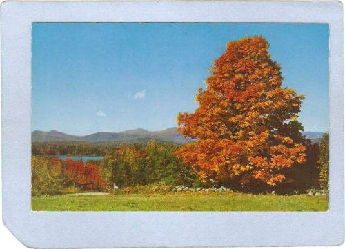 New York Plattsburgh Greetings From Plattsburgh NY ny_box3~1156