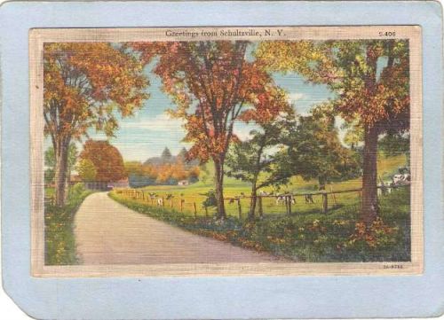 New York Schultzville Greetings From Schultzville ny_box4~2121