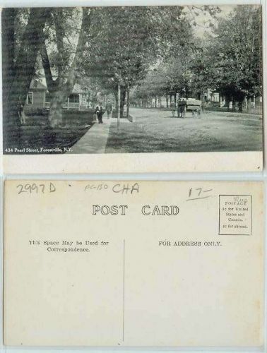 New York Forestville Pearl St Unpaved Road Horse and Wagon~130