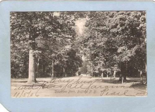 New York Buffalo Delaware Park w/Horse & Wagon Undivided Back ny_box4X1~2851