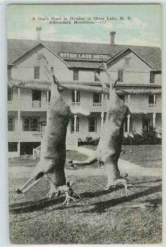 New York Otter Lake Adirondack Mts A Days Hunt In October 2 dead Deer Hang~273