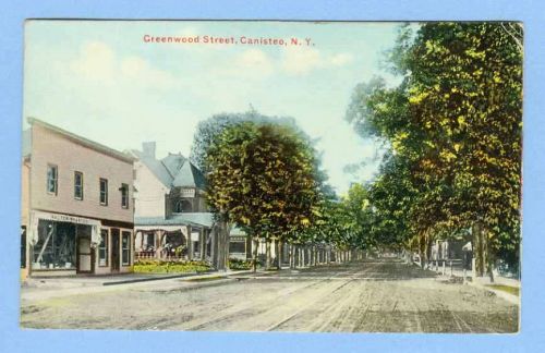 New York Canisteo Greenwood St Tree Lined Street Scene w/Trolley Track Old~335