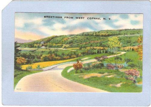 New York West Copake Greetings From West Copake ny_box3~1217
