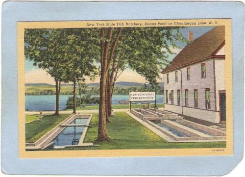 New York Chautauqua New York State Fish Hatchery Bemus Point ny_box5~1870