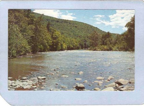 New York Margaretville The East Branch Delaware River ny_box3~1286