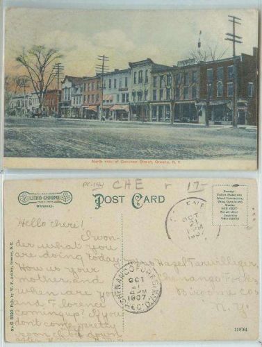 New York Greene North Side of Genesee St. Unpaved Road Old Buildings~144