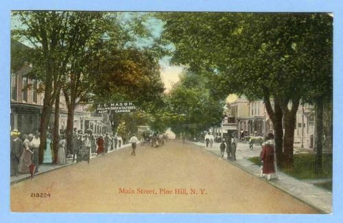 New York Pine Hill Main St Street Scene w/Old Buildings Horses and Wagons ~389