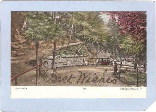 New York Binghamton Ross Park Outlined In Silver Sparkles ny_box2~516