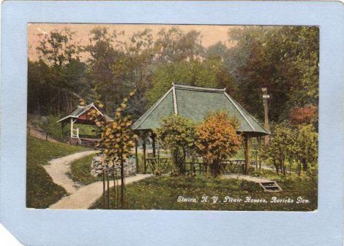 New York Elmira Picnic Flowers Roricks Glen ny_box3~994