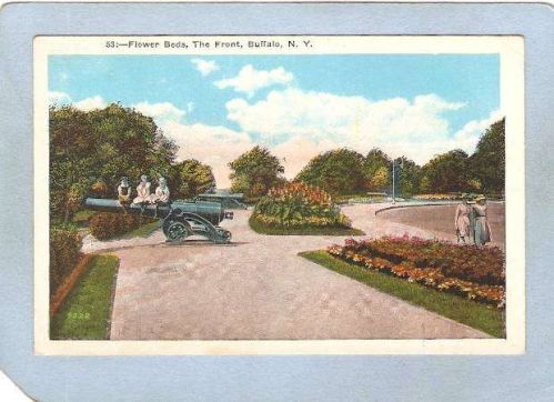 New York Buffalo Flower Beds The Front ny_box4~2531