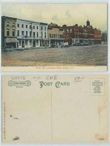 New York Greene South Side of Genesee St. Unpaved Road Horses and Wagons O~143