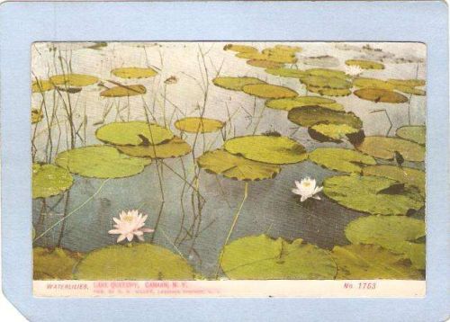 New York Canaan Waterlilies Lake Queechy ny_box3~1198