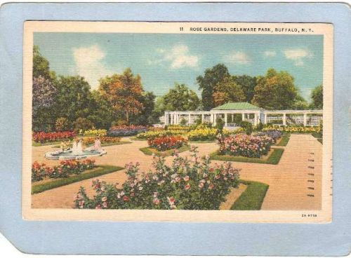 New York Buffalo Rose Gardens Delaware Park ny_box4~2547