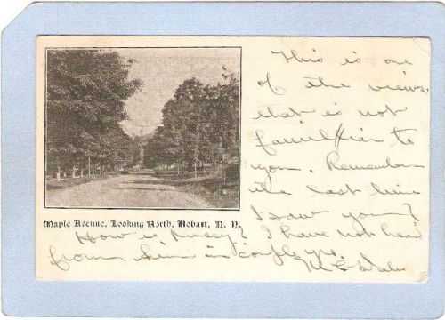 New York Hobart Maple Ave Looking North ny_box3~1285