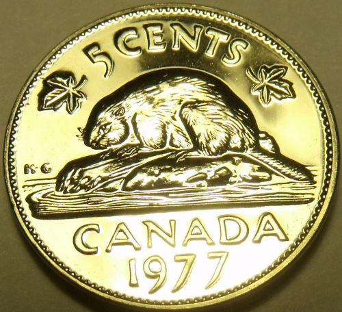 Proof Canada 1977 5 Cents~Beaver Nickel~We Have Canadian Proofs~Free Shipping