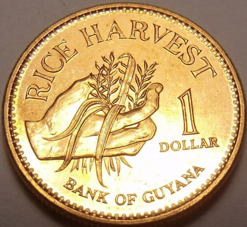 Gem Unc Guyana 1996 Dollar~Only Year Minted~Rice Harvest~Free Shipping