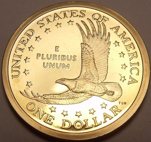 United States 2007-S Sacagawea Cameo Proof Dollar~Free Shipping