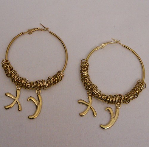 Womens Fashion Hoop Earrings X Y Gold Tones PRINCESS Leverback Lead Free