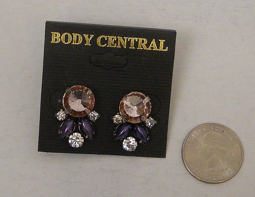 Women Fashion Stud Earrings Purple Rose Rhinestones BODY CENTRAL Push Back Faste