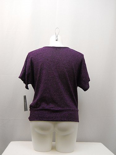 Plus Size 1X 2X Womens Sweater NY COLLECTION Purple Embellished Cowl Neck