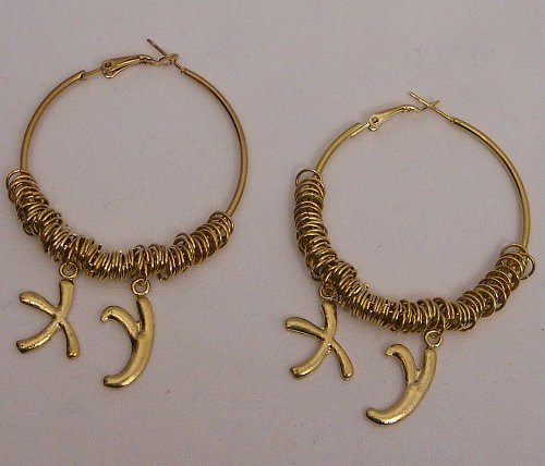 Womens Fashion Hoop Earrings X Y Gold Tones PRINCESS Leverback Lead Free