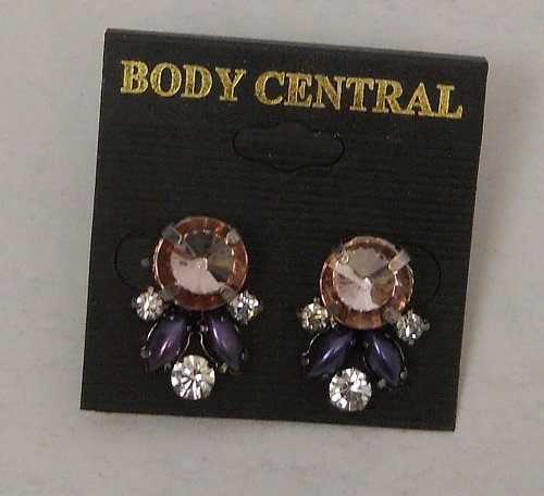 Women Fashion Stud Earrings Purple Rose Rhinestones BODY CENTRAL Push Back Faste