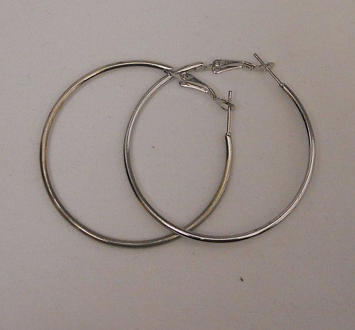 Womens Fashion Hoop Earrings Silver Tones SONOMA Leverback