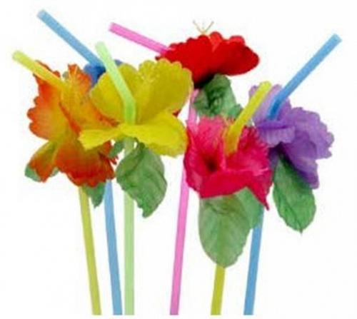 (72) Ibisco Cannucce Lotto Fiore Decorazioni Festa Luau Hawaiano 6 Dozzina