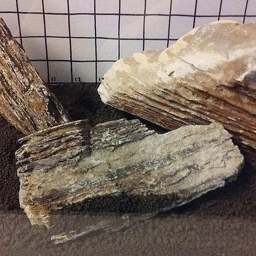 Lucidato Pagoda Pietra 4.5kg Aquascaping Roccia Assortimento Ada Pianta Acquario