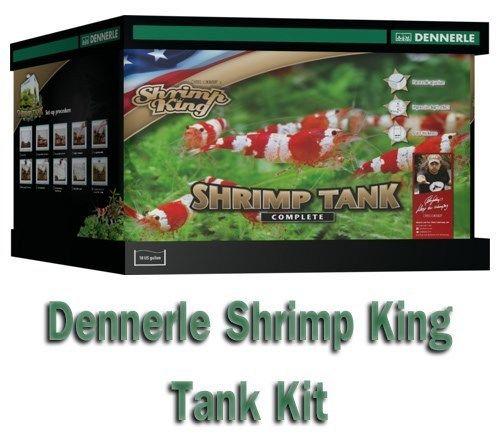 Dennerle 10 Gr 35L Gambero Re Completo Carro Armato Dell'Acquario Kit Filtro +