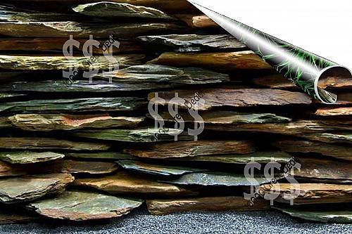 Seaview Slateways/Aquawild 12in Acquario Doppio Lato Fondo BGSL5-12