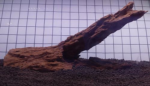 Malese Driftwood Rettile Aquascaping Acquario Legno Decorazione 25.4cm Wysiwyg