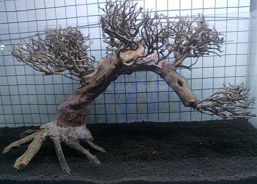 Dragon Legno Fai Crescere Structure Acquario Piante 27.9cm Dragonwood Show XL