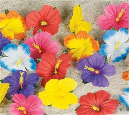(72) Fiore Dell'Ibisco Decorazioni Artigianato Seta come Festa Luau Hawaiano