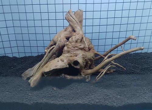 Ragno Legno Rettile Pesce Uccello Acquari Aquascaping Decorazione 27.9cm Wysiwyg