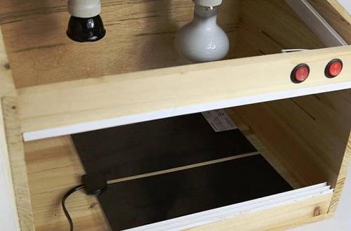 7W Rettile Riscaldatore Regolabile Temperatura Tappetino Riscaldante Animale