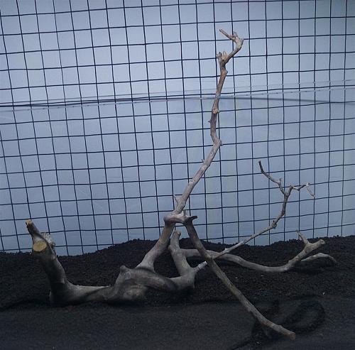 Nainital Driftwood Rettile Acquario Aquascaping Vasca Legno Decorazione 40.6cm