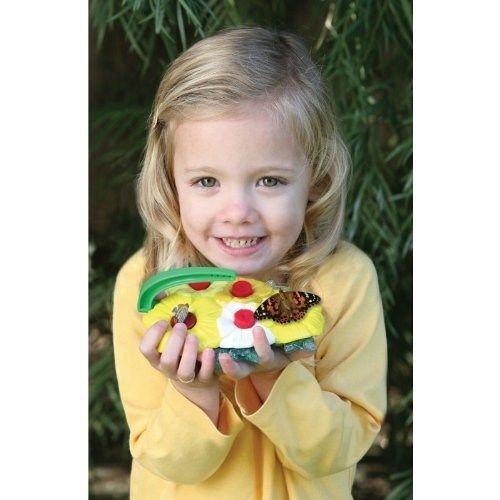 Insect Lore Farfalla Alimentatore Deluxe Pedagogico Giardino Giocattolo