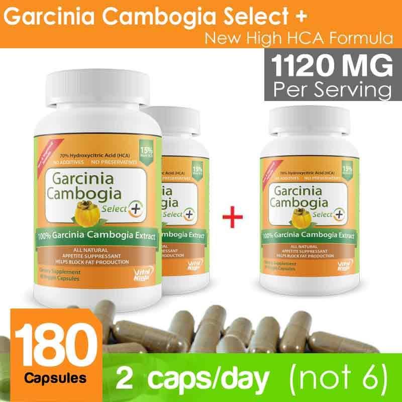 24h fat burner image 10